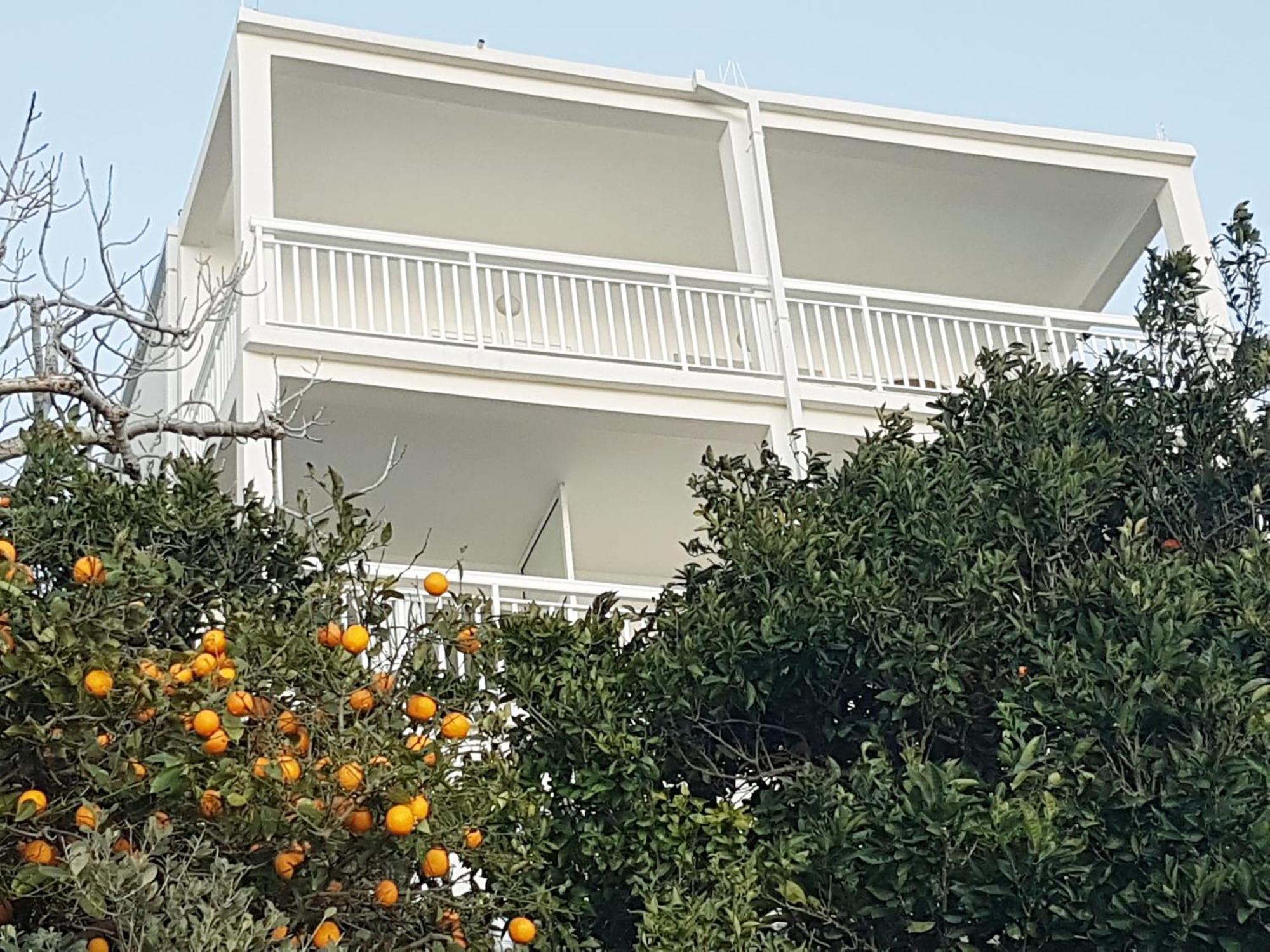 Apartmani Anda Живогошче Экстерьер фото